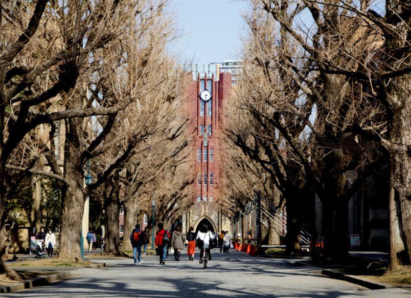 最難関　医学部